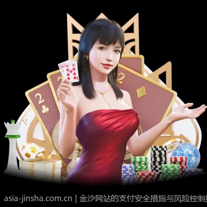 金沙网站的支付安全措施与风险控制措施
