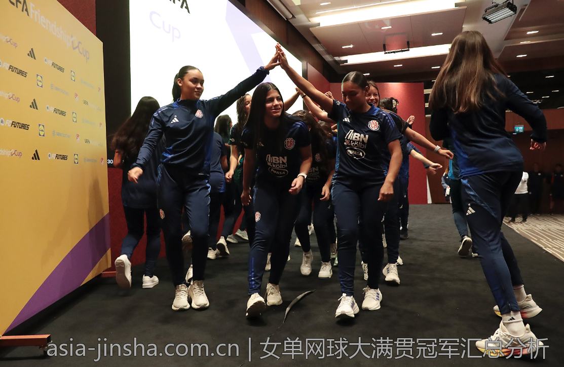 女单网球大满贯冠军汇总分析